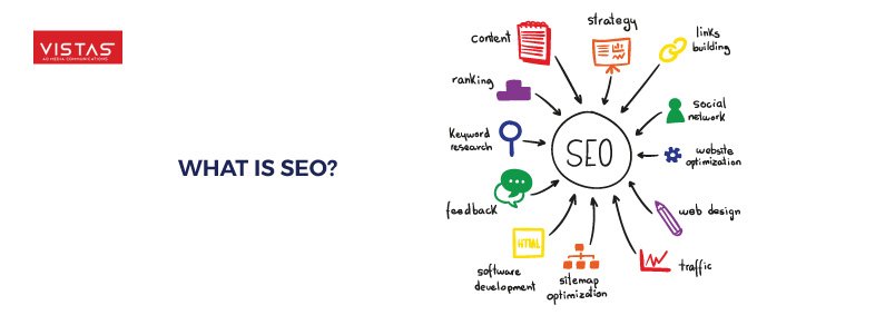 SEO Insights